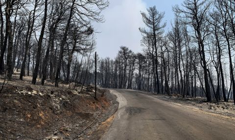 Напълно е овладян големият горски пожар до българската граница - 1
