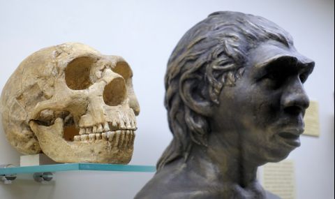 Неандерталците и съвременните хора са съжителствали в Европа повече от 2000 години - 1