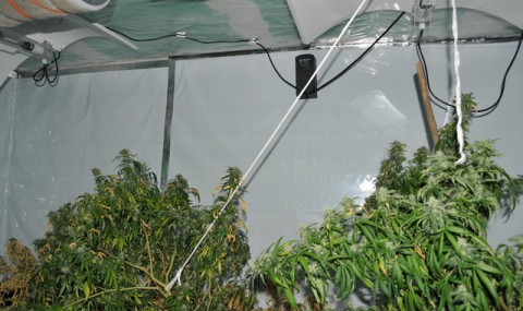 Инсталация за отглеждане на марихуана в селска къща - 1