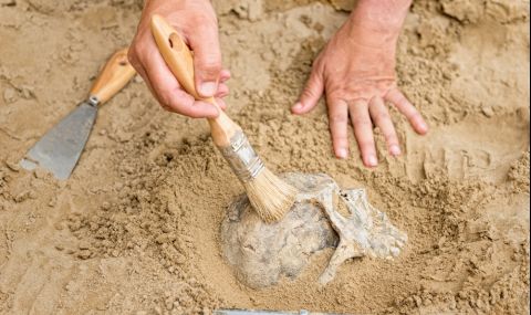 Китайски археолози откриха фосилизиран череп на Хомо еректус на 1 млн. години (ВИДЕО) - 1