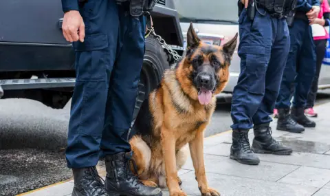 Полицейски патрули с кучета ще дежурят в Бургас