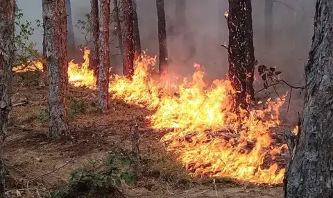 Спешно се търсят доброволци за гасене на огромния пожар край Хисаря - 1