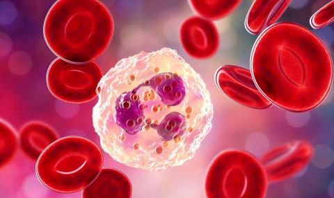 Коронавирус: кръвната група играе решаваща роля - 1