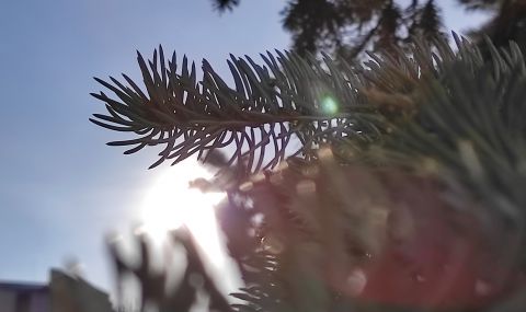 Слънчево начало на седмицата, температурите скачат - 1