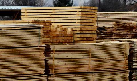 Близо 4000 са мебелните компании у нас,но недостигът на дървесина спъва производството - 1