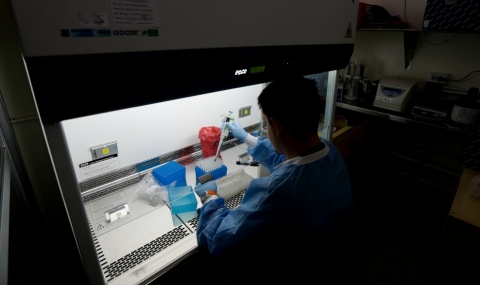 Нови данни за вируса Зика - 1