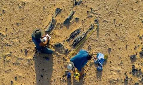 Откриха фосили на непознат динозавър в Сахара - 1