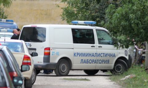 Жестоко убийство на възрастна жена в софийското село Петрич - 1