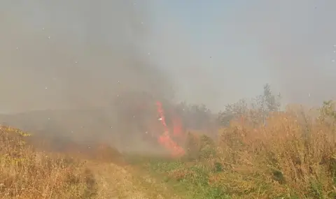 Овладяха пожара в Пазарджишко - 1