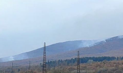 Още не е овладян пожарът над военния полигон "Ново село" - 1