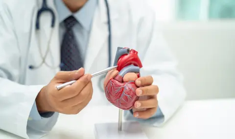 Кардиолог изброи своите 5 ежедневни навика за здраво сърце и стабилно кръвно налягане - 1