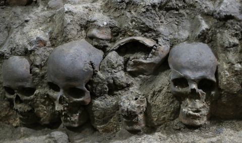 Разкопаха 500-годишна кула от човешки черепи - 1
