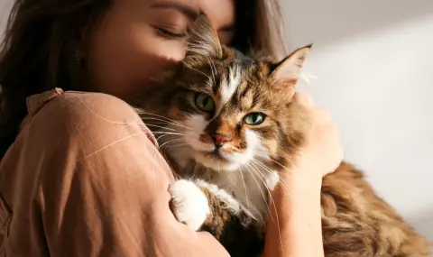 Иновативно лечение удължава двойно живота на котките - 1