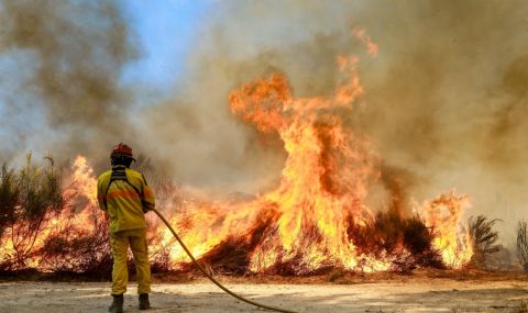 Стотици пожарникари се борят с горски пожар - 1