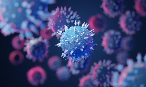 По-опасен от Делта: появи се нов вариант на коронавируса с необичайно много мутации - 1