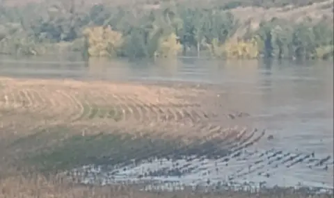 Нивото на река Янтра рязко е скочило при русенското село Долна Студена. Има залети обработваеми земи - 1