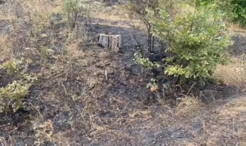 Пожарникари откриха труп на мъж при гасене на пожар в полето - 1