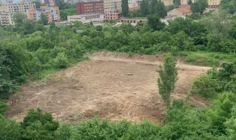 Борис Цветков: Защо СО разреши изсичане на гора в "Овча купел" - 1