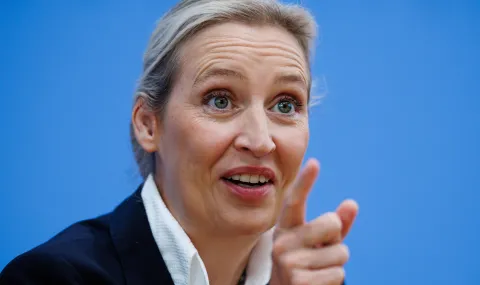 "Alternative for Germany" seeks mayoral posts in Lower Saxony - 1