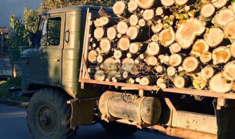 Полицаи иззеха 54 кубика дърва от бракониери в Монтанско - 1