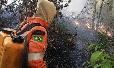 Бразилия под прицел! Пращат армията срещу огъня в Амазония (ВИДЕО+СНИМКИ) - 1