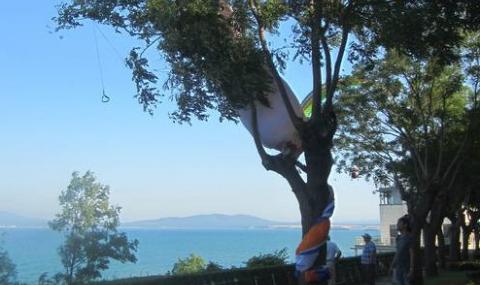 Парапланер падна в Морската градина в Бургас - 1