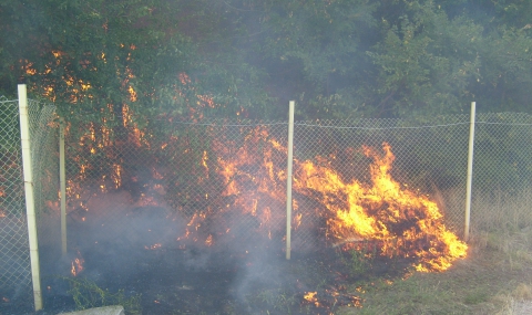Отново пожар в Балкана над Троян - 1