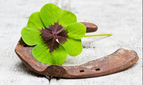 Невероятен късмет за 3 зодии до края на ноември - 1