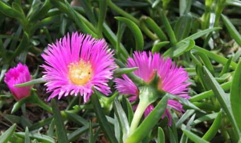 Времето днес, прогноза за вторник, 6 юни: Слънчев ден, превалявания само в планините на запад - 1