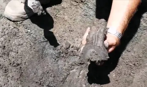 Теракота в гроб с кремация откриха в Хераклея Синтика (ВИДЕО) - 1