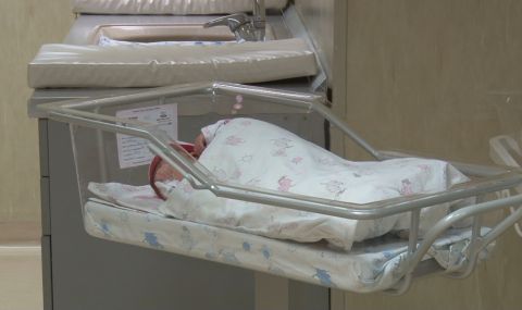 Близначета на 60 дни са приети с COVID в болница в Ловеч - 1