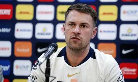 Бивш футболист на Арсенал обяви награда от 20 000 долара за изгубеното си куче - 1