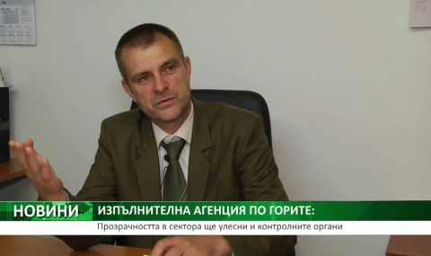Инж. Филип Ковашки: Откраднатата дървесина отива при най-бедните - 1