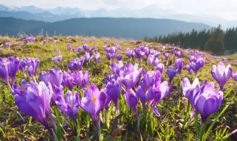 Времето днес, прогноза за вторник, 17 март: Значителна облачност над цялата страна