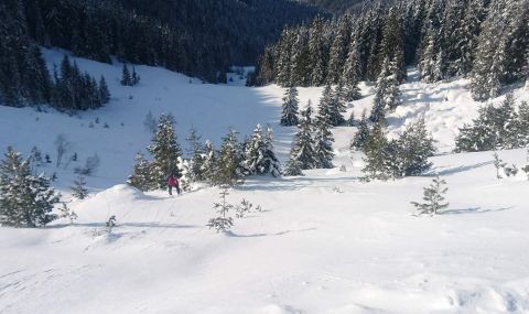 Откриха тялото на изчезналия преди месеци сноубордист в Рила - 1