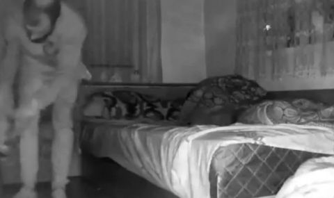Нагъл крадец нахълта при спяща жена в Скутаре (ВИДЕО) - 1