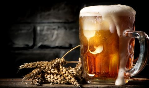 Пивоварна разработва разтворима бира на прах (ВИДЕО) - 1
