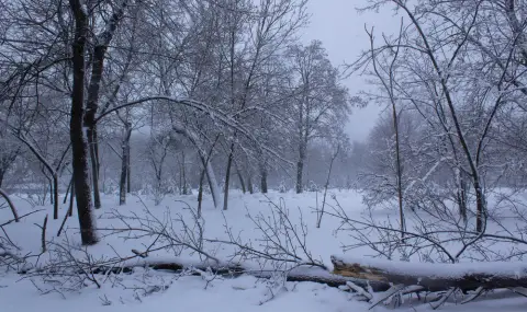 Зимна буря причини прекъсвания на електрозахранването и затваряне на пътища в Украйна - 1
