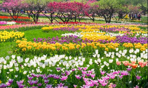 Откриха първата национална ботаническа градина в Китай (ВИДЕО) - 1