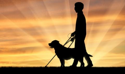 Притча за един прекрасен ден - 1