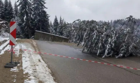Nikolay Naydenov: It is very unlikely that such a landslide can be prevented  - 1