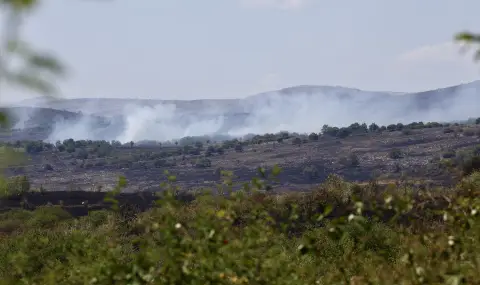 The fire in Kostinbrodsko flared up again, there is a danger to Opitsvet  - 1