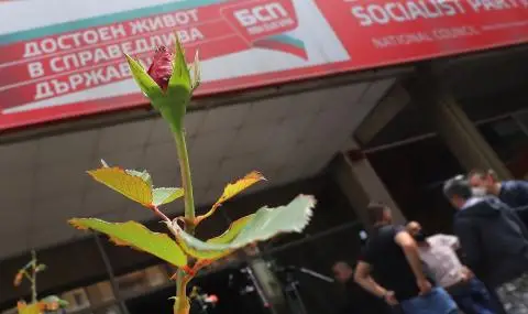 БСП сменя ръководствата на партията в София и Бургас - 1
