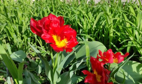 Времето днес, прогноза за събота, 15 април: Слънчево, валежите спират, вятърът отслабва - 1