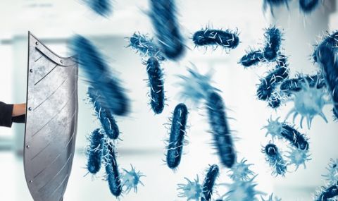 Учени от БАН работят по нови нанопокрития, предпазващи от вируси и бактерии - 1