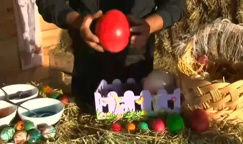 Боядисаха великденски яйца от над 40 вида птици