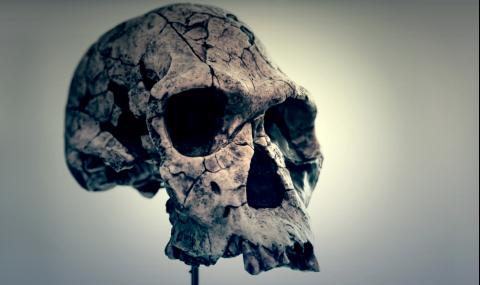 Най-древният предтеча на човека е живял преди 7,2 милиона години на Балканите - 1
