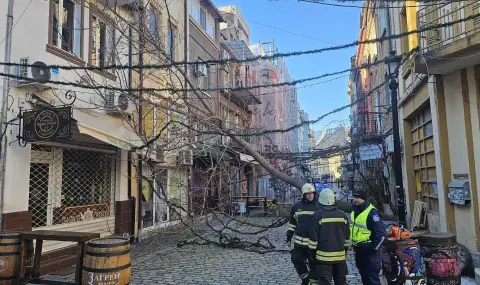 Съветите на пожарната заради силния вятър в страната: Не стойте на открито. Има опасност от падащи предмети
