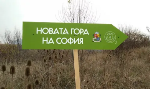Временна автобусна линия ще осигурява достъп до „Новата гора на София“ край Банкя - 1