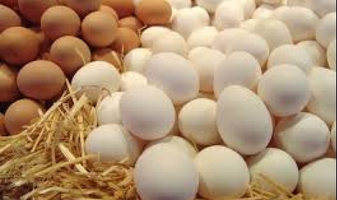 Неконсумирани яйца от католическия Великден могат да достигнат до потребителите - 1